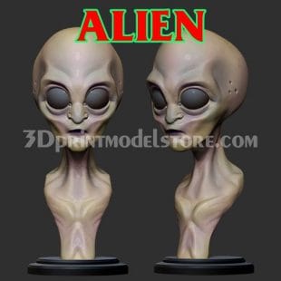 Alien Bust 3D Print Model